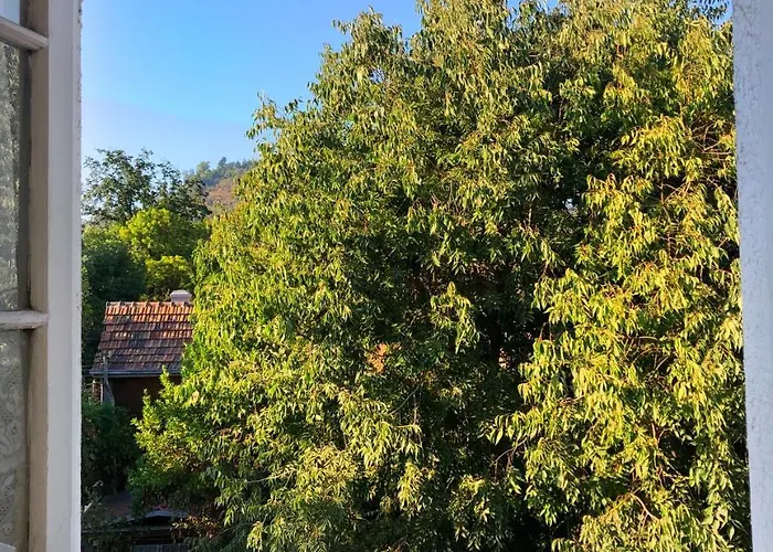 Cheap hotel: Casa Ryan